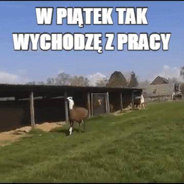 W piątek tak wychodzę z pracy